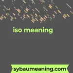 iso meaning