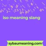 iso meaning slang