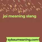 joi meaning slang
