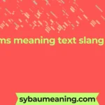 lms meaning text slang