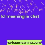 lol meaning in chat