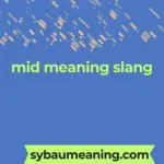 mid meaning slang