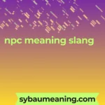 npc meaning slang