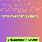 ntm meaning slang
