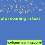 pfp meaning in text