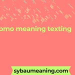 pmo meaning texting