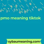 pmo meaning tiktok