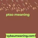 ptso meaning