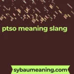 ptso meaning slang