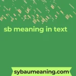 sb meaning in text