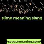 slime meaning slang