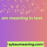 sm meaning in text