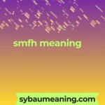 smfh meaning