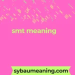 smt meaning