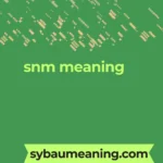 snm meaning