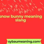 snow bunny meaning slang