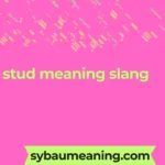 stud meaning slang
