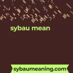 sybau mean