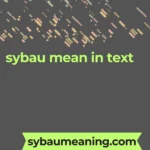 sybau mean in text