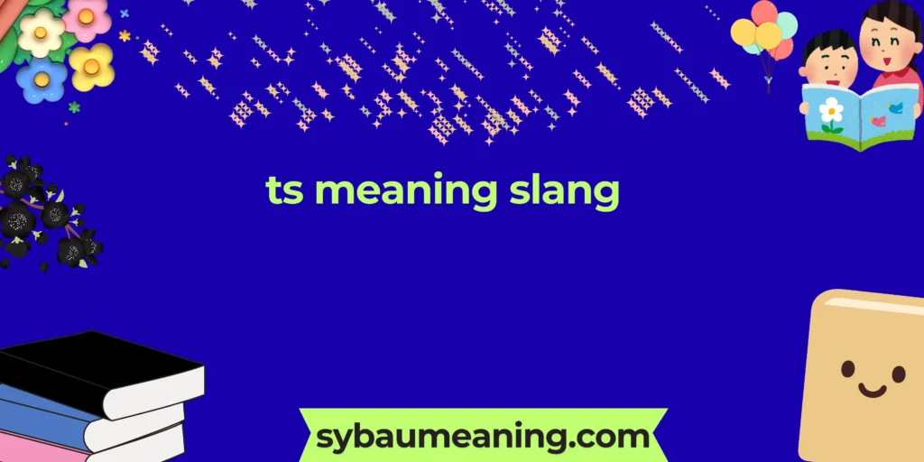 ts meaning slang
