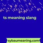 ts meaning slang