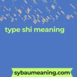 type shi meaning
