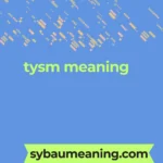 tysm meaning