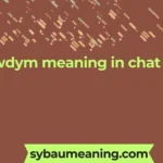 wdym meaning in chat