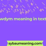 wdym meaning in text