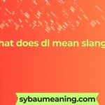 what does dl mean slang