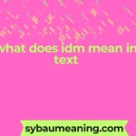 what does idm mean in text