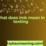what does lmk mean in texting