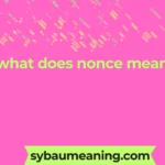 what does nonce mean