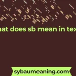 what does sb mean in text
