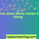 what does slime mean in slang