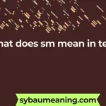 what does sm mean in text