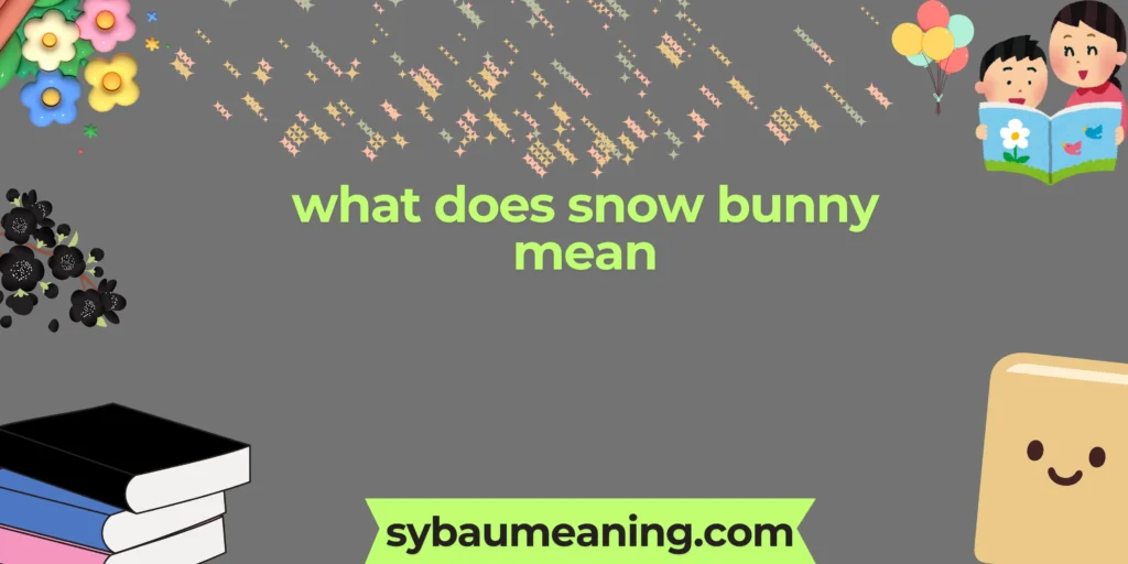 what does snow bunny mean