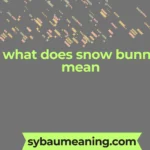 what does snow bunny mean