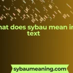 what does sybau mean in text