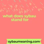 what does sybau stand for