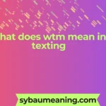 what does wtm mean in texting