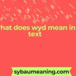 what does wyd mean in text