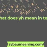 what does yh mean in text
