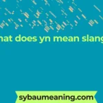 what does yn mean slang