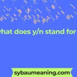 what does y/n stand for