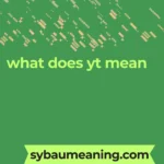 what does yt mean