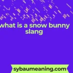 what is a snow bunny slang