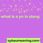 what is a yn in slang