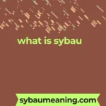 what is sybau