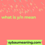 what is y/n mean